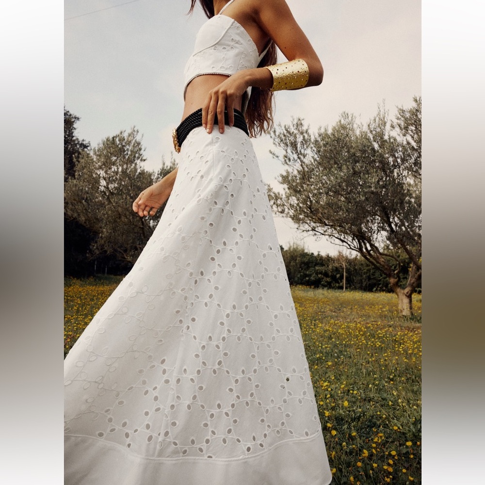 Zara Embroidered Skirt